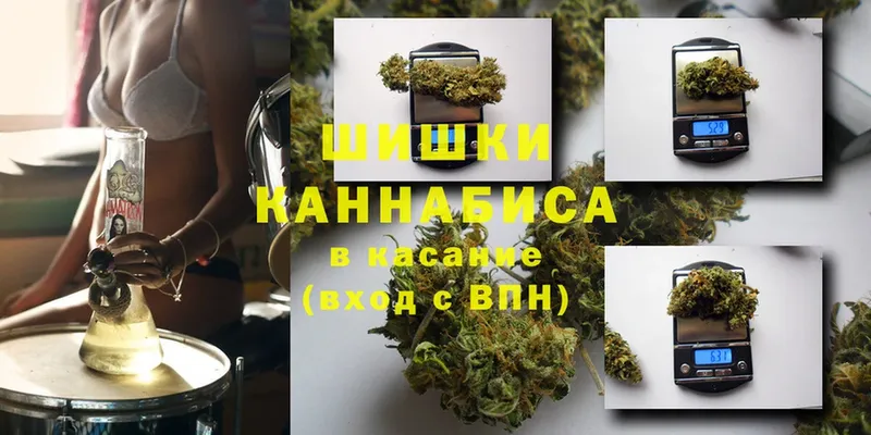 закладки  Буй  Шишки марихуана White Widow 